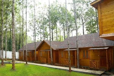 Garden Wood Yercaud