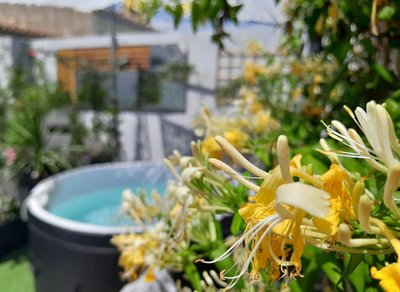 Le Petit Patio