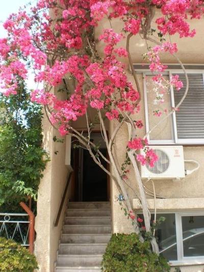 Two-room apartment with balcony near the sea