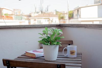Vatican R-Home Savorelli