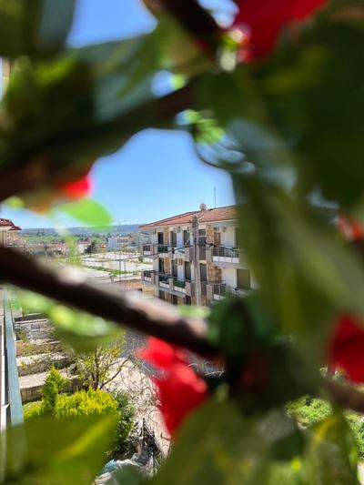 Seaside Apartment Aliki