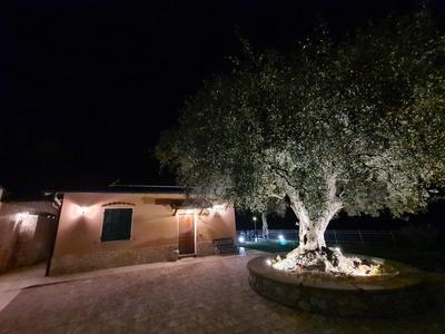 Casa Ulivi e Mare