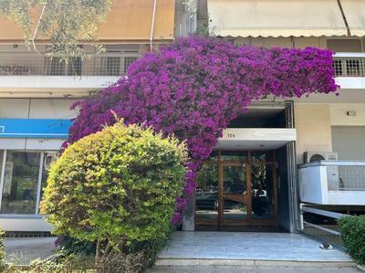 Debonair 1 bedroom premium haven in Athens