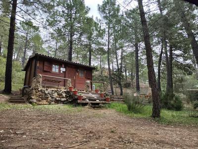 Cabaña los chorros