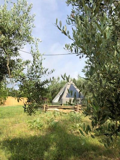 Glamping la lodola