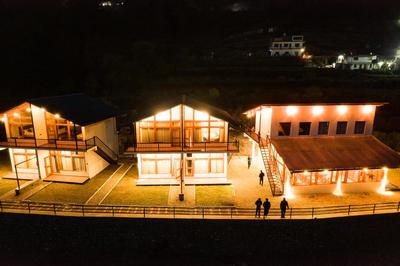 Silver fern by the Hillside