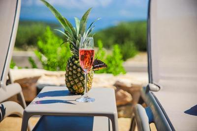 Ferienhaus In Pučišća Mit Privatem Pool