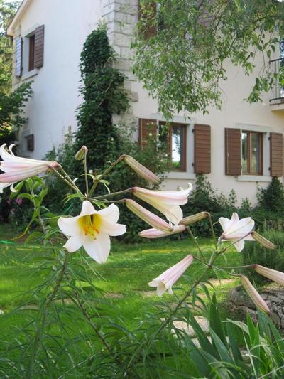 Ferienhaus auf zwei Etagen mit gehobener Ausstattung und offenen Kaminen und Pool im Garten