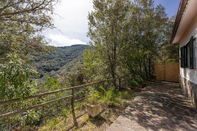Villino Straccoligno - Goelba
