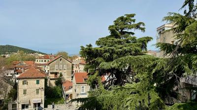 Jardin Rooms