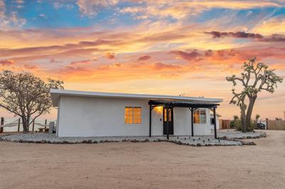 Private Joshua Tree Cabin w/ Hammocks & Campfire