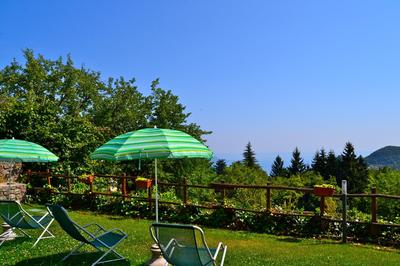 Orchidea in Hilly area - Happy Rentals