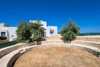 Olive Apt - Akrotiri