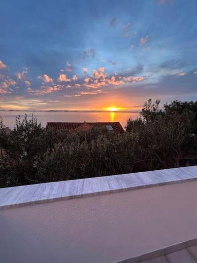 Sol Insula