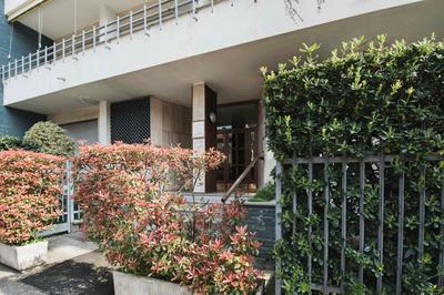 Lucy's House