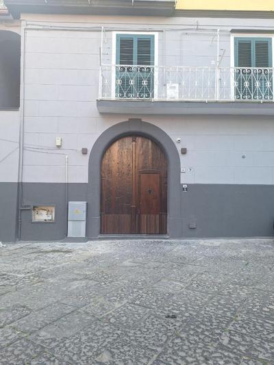 Alocasia luxury stay