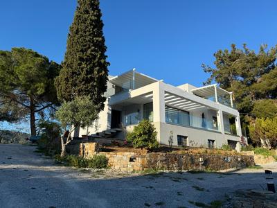 Acra Melia