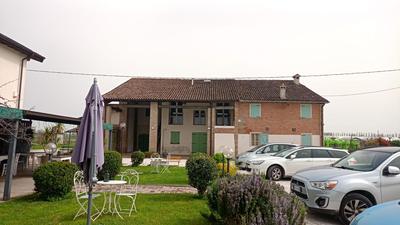 il salice