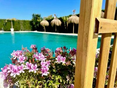 GATU SIROCO junto la playa, piscina, aire acc, terraza, " Preferente mayores de 21 años y familias "
