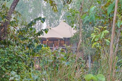 Saja and Sal The Tents
