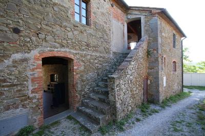 Tommaso