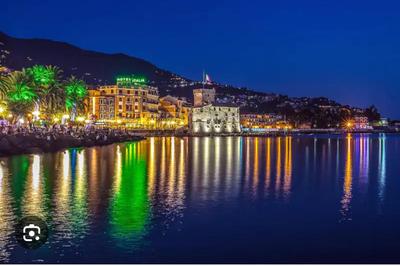 ELEGANT HOUSE BY THE SEA RAPALLO - 50 meters from the beach ,near Portofino