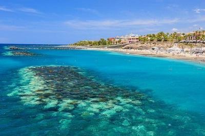 Studio für 3 Personen ca 40 qm in Costa Adeje, Teneriffa Westküste von Teneriffa