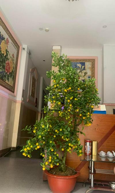 Khách Sạn Ánh Nguyệt 1