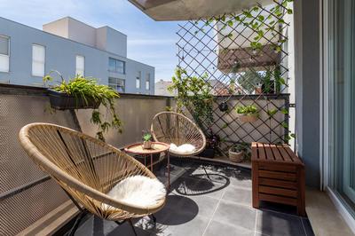 Zia suite