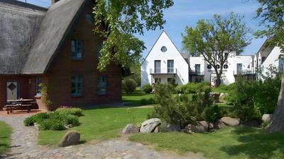 Reetdachhäuser gegenüber Hiddensee