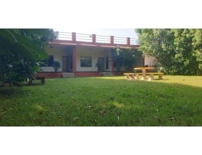 Datar Farms, Jalandar