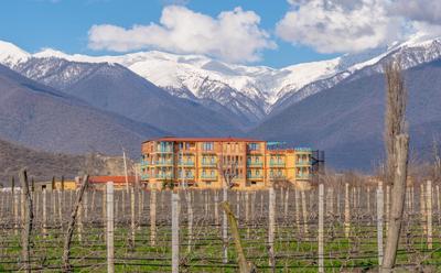 Burki Castle & Cellar