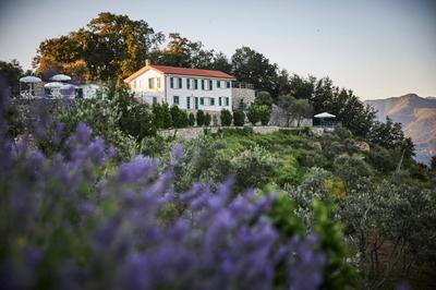 Il Leccio - Luxury Resort Portofino Monte