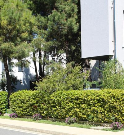 Vala Mar Apartament