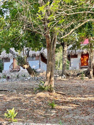 SAMADHI (wellness retreat)