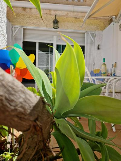 San Antonio - Beach, pool and terrace