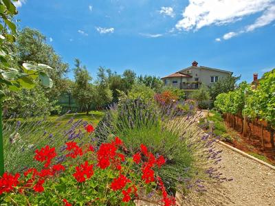 Ferienwohnung für 4 Personen ca 40 qm in Fažana, Istrien Istrische Riviera - b54515