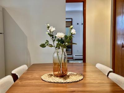 Downtown New Haven by Yale & Little Italy - AO Destinations