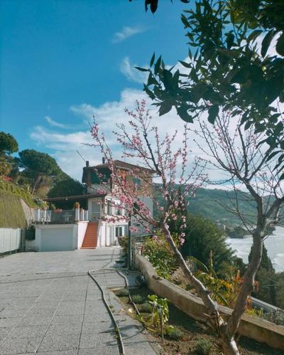 Appartamento un mare di fiori