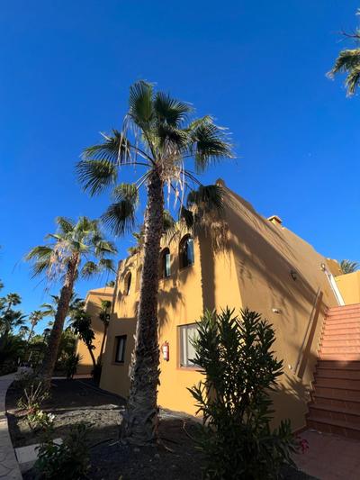 Casa de Leon