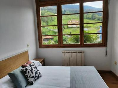 Pimo Plus La pola