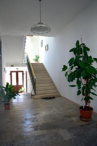 City center apartment Azura Vista