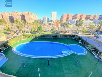 Ayf neptuno en magic world