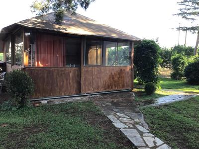 Orange Blossom Luxury House