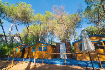 ZALUAY - Habitaciones de madera