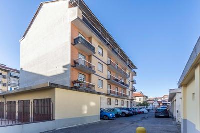 Little's Venaria