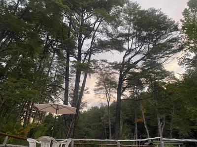 Termas Palguin Pucón