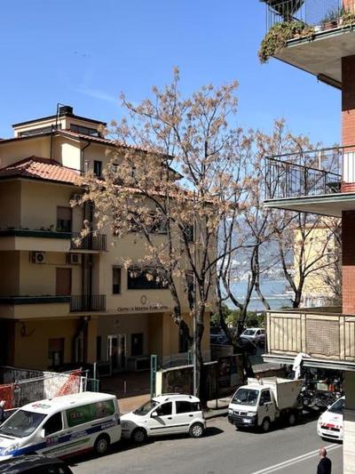 Home Salerno