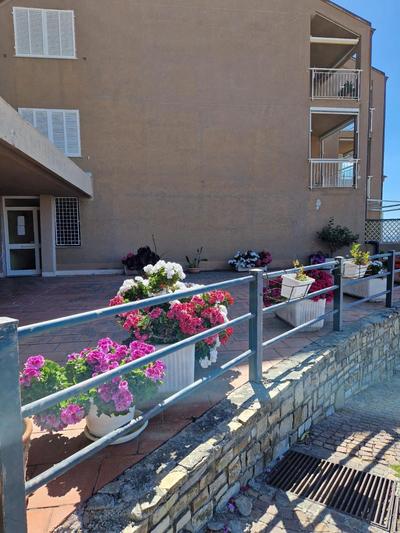 La finestra sul golfo