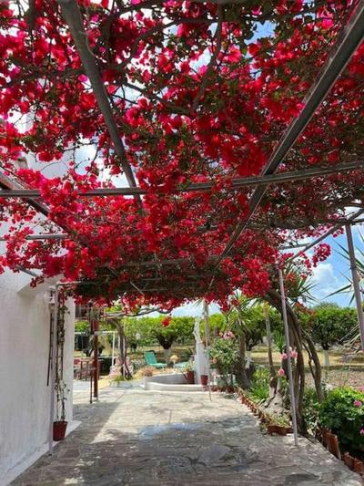 ktima_countryliving